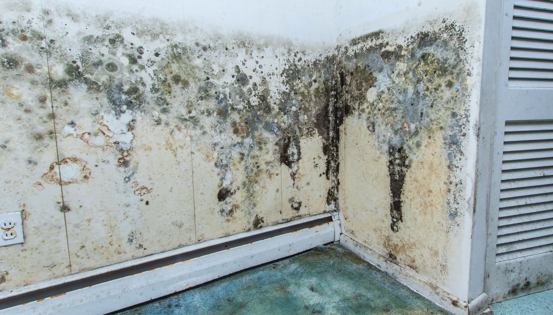Professional mold removal, odor control, and water damage restoration service in Burbank, California.