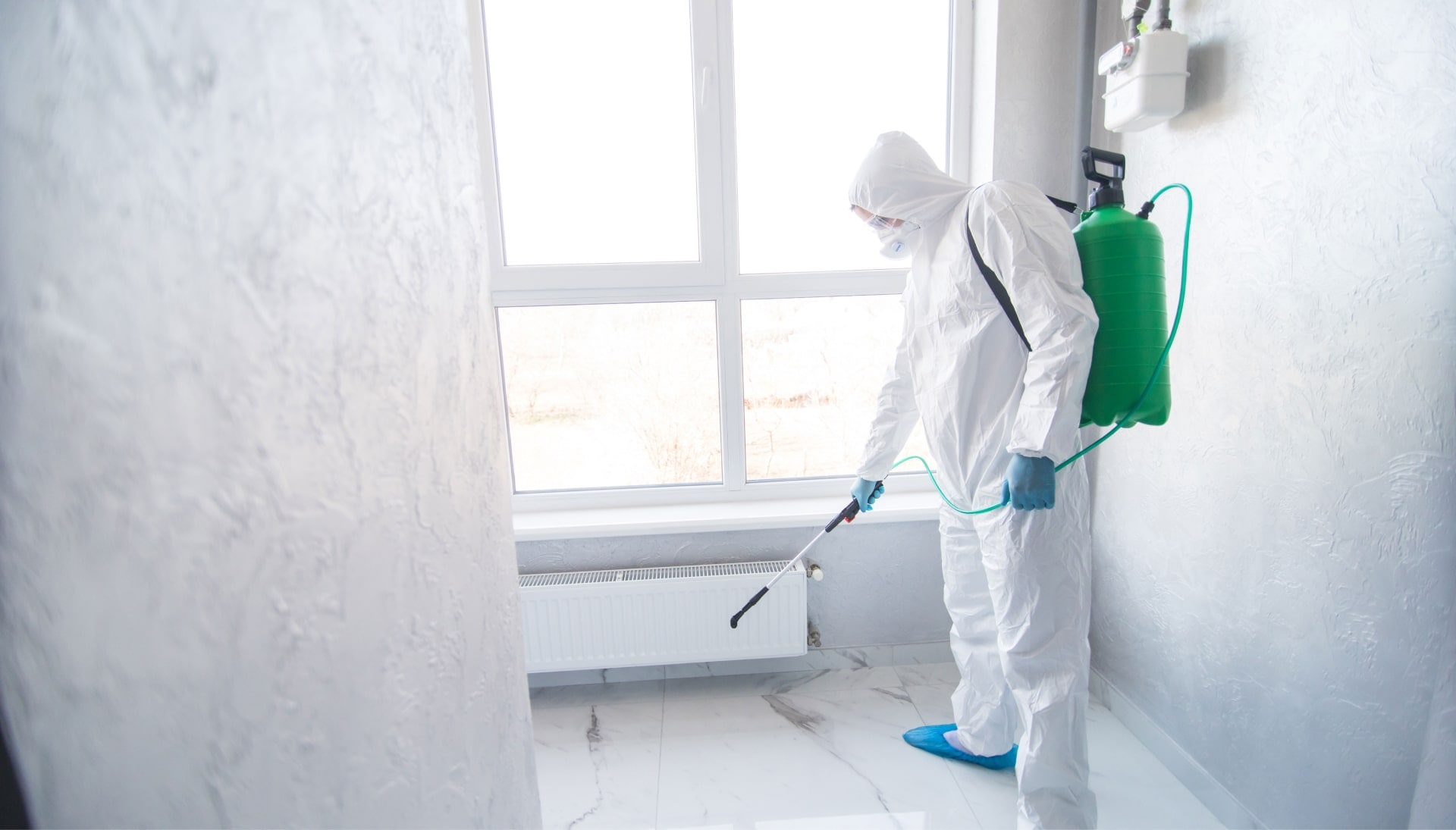 We provide the highest-quality mold inspection, testing, and removal services in the Burbank, California area.